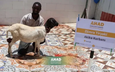 اكتشف سعر العقيقة في الجمعية الخيرية خطوة بخطوة