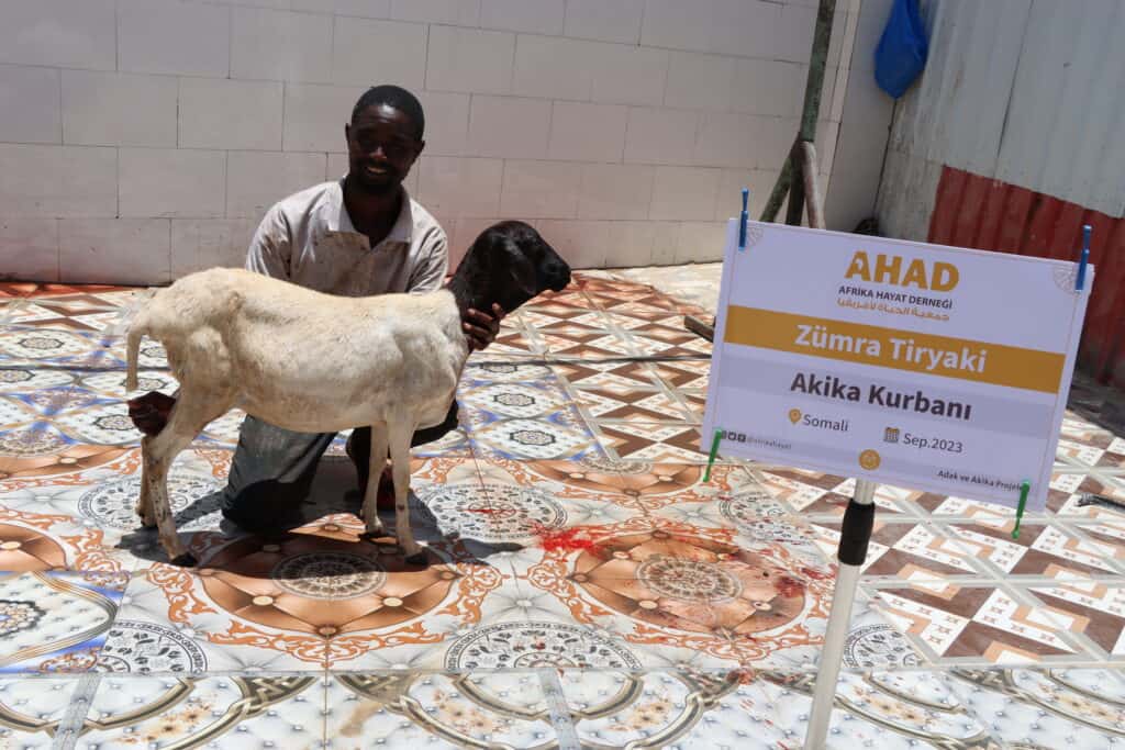 The Price of Aqiqah at the Charitable Organization