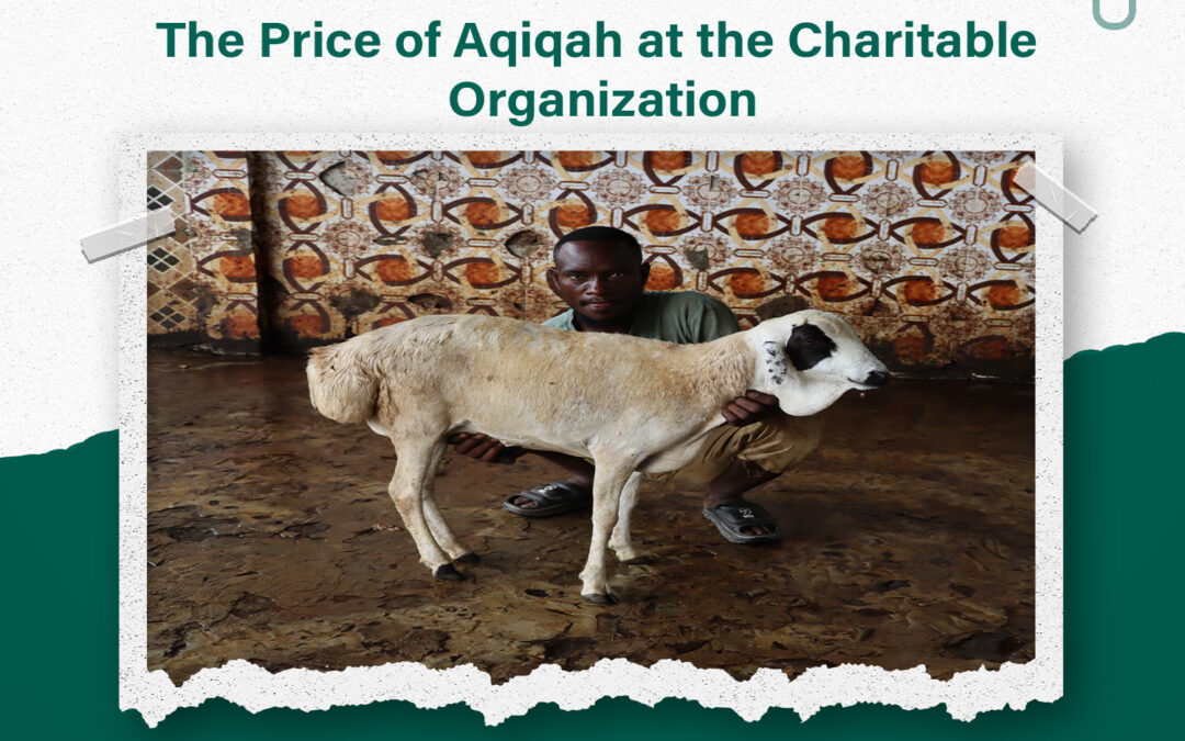 The Price of Aqiqah at the Charitable Organization