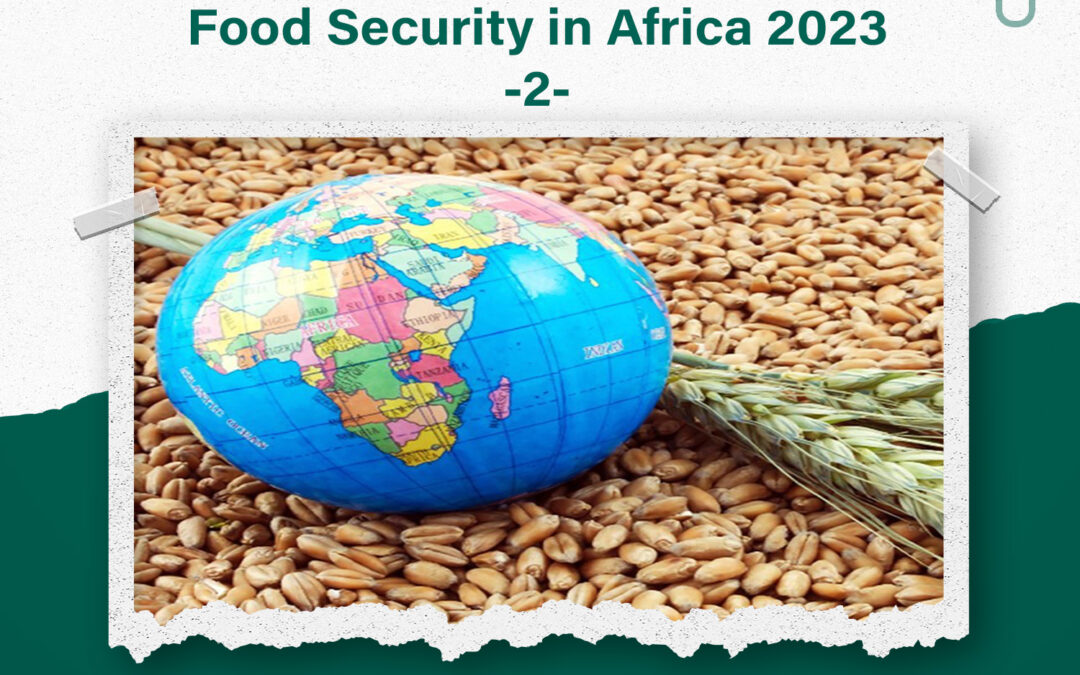 Food Security in Africa 2023