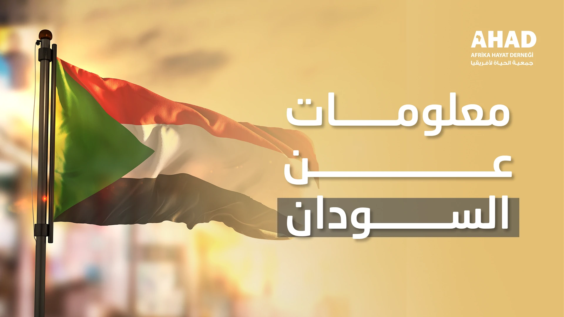 ngo-illustration-Artboard 5 معلومات عن السودان 2026 - جمعية الحياة لأفريقيا