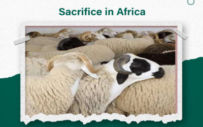 Sacrifice in Africa