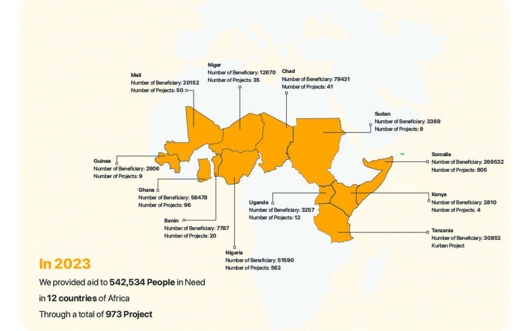 Achievements of the AHAD Association in Africa for 2023