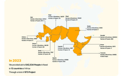 Achievements of the AHAD Association in Africa for 2023