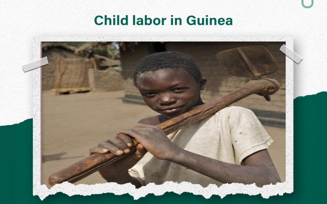 Child labour in Guinea