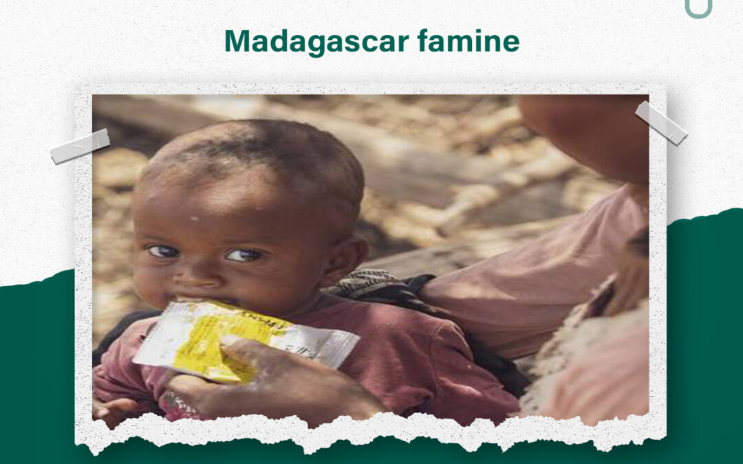 The Madagascar famine