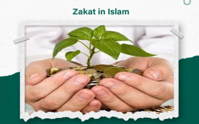 Definition of Zakat and its importance in Islam