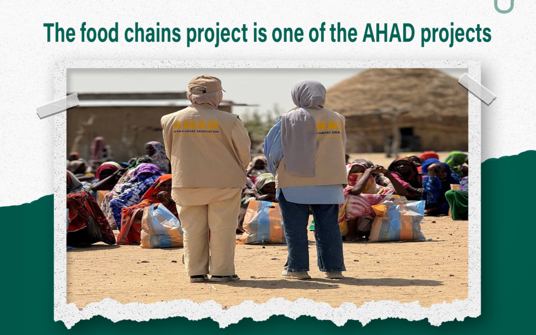 Food baskets project from AHAD projects