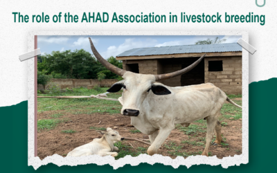 The role of AHAD Association in livestock breeding