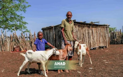 Livestock breeding in Africa