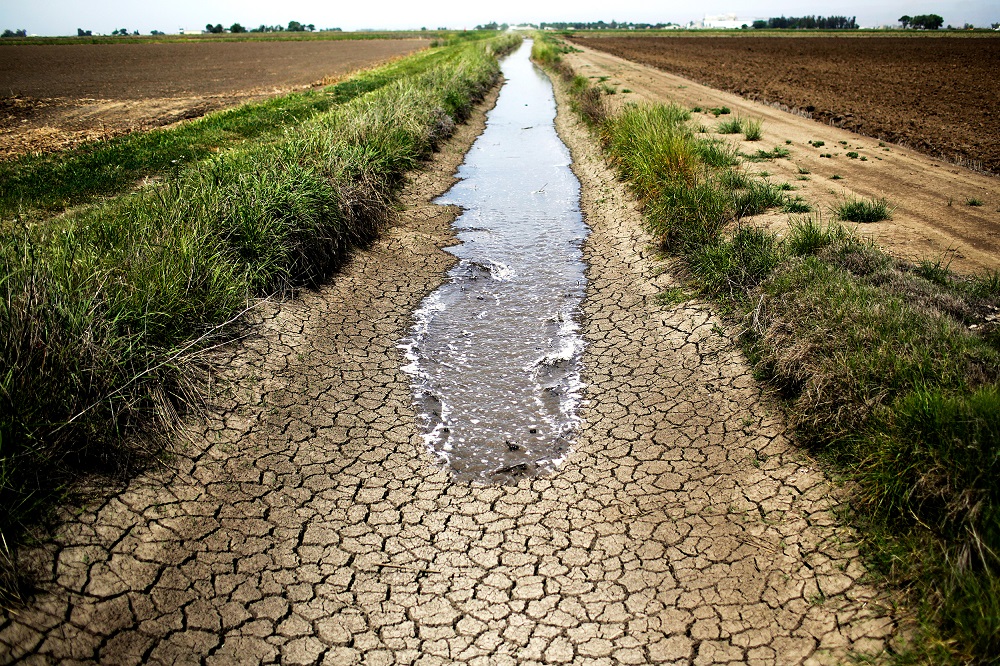 Drought threatens lives in Uganda