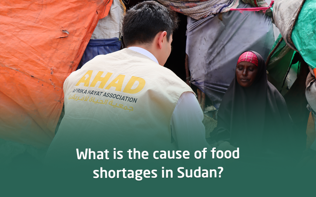 What caused the food shortage in Sudan