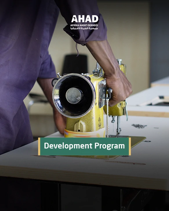 Development Program