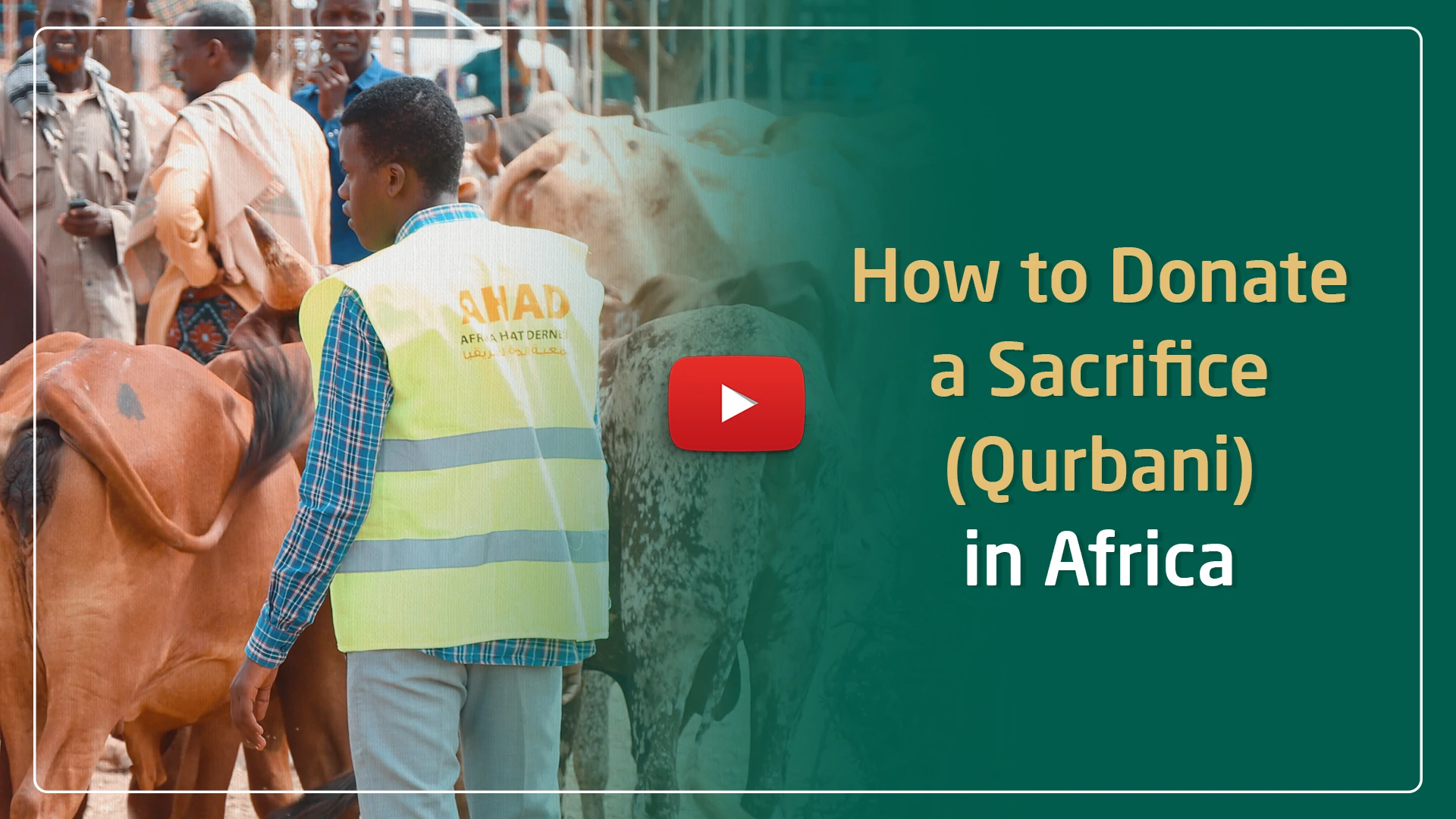 How to donate a sacrifice in Africa