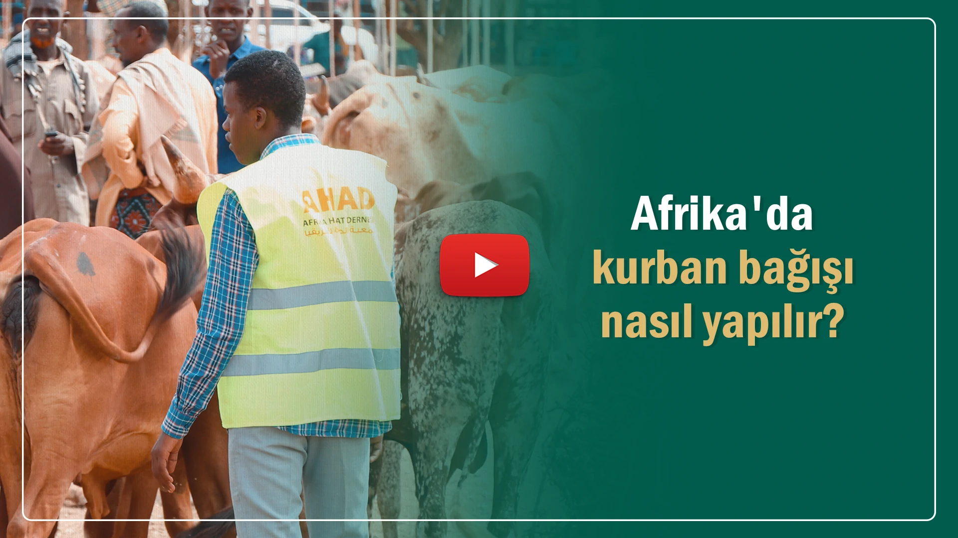 Afrika'da kurban bağışı nasıl yapılır?