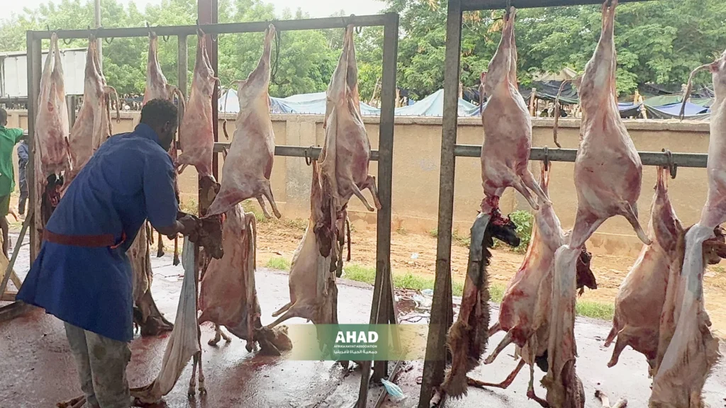 أحكام وشروط المضحي في عيد الأضحى