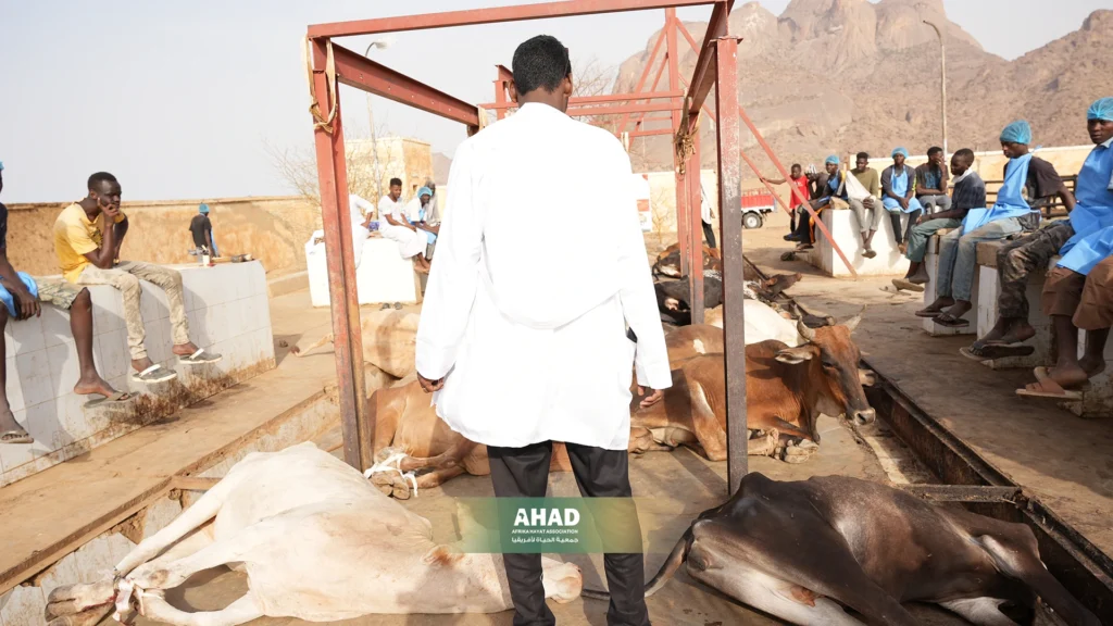 شروط ذبح الأضحية للرجل