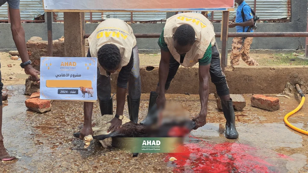 أفضل وقت لذبح أضحية عيد الأضحى؟