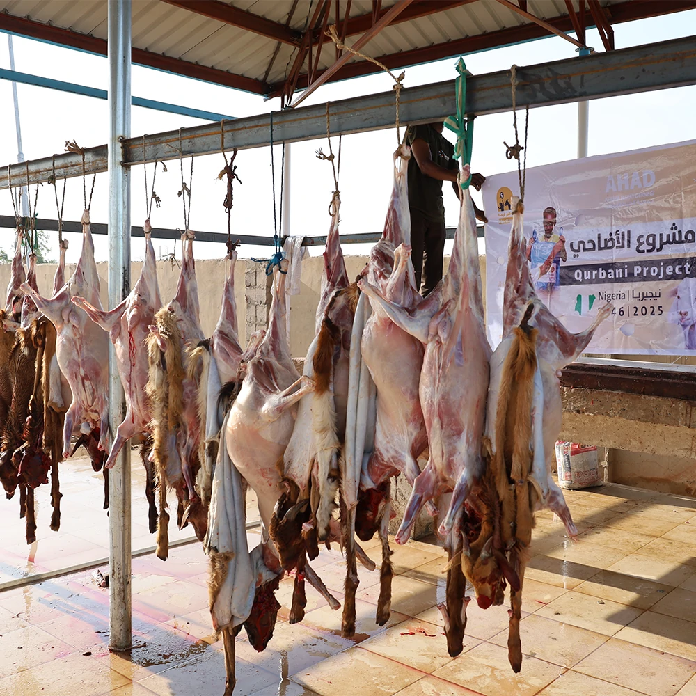 مشروع الأضاحي 2025