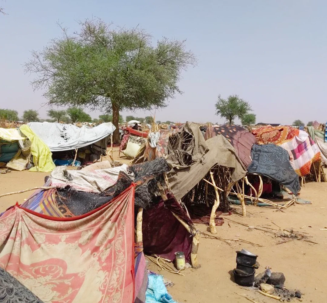 معاناة السودان