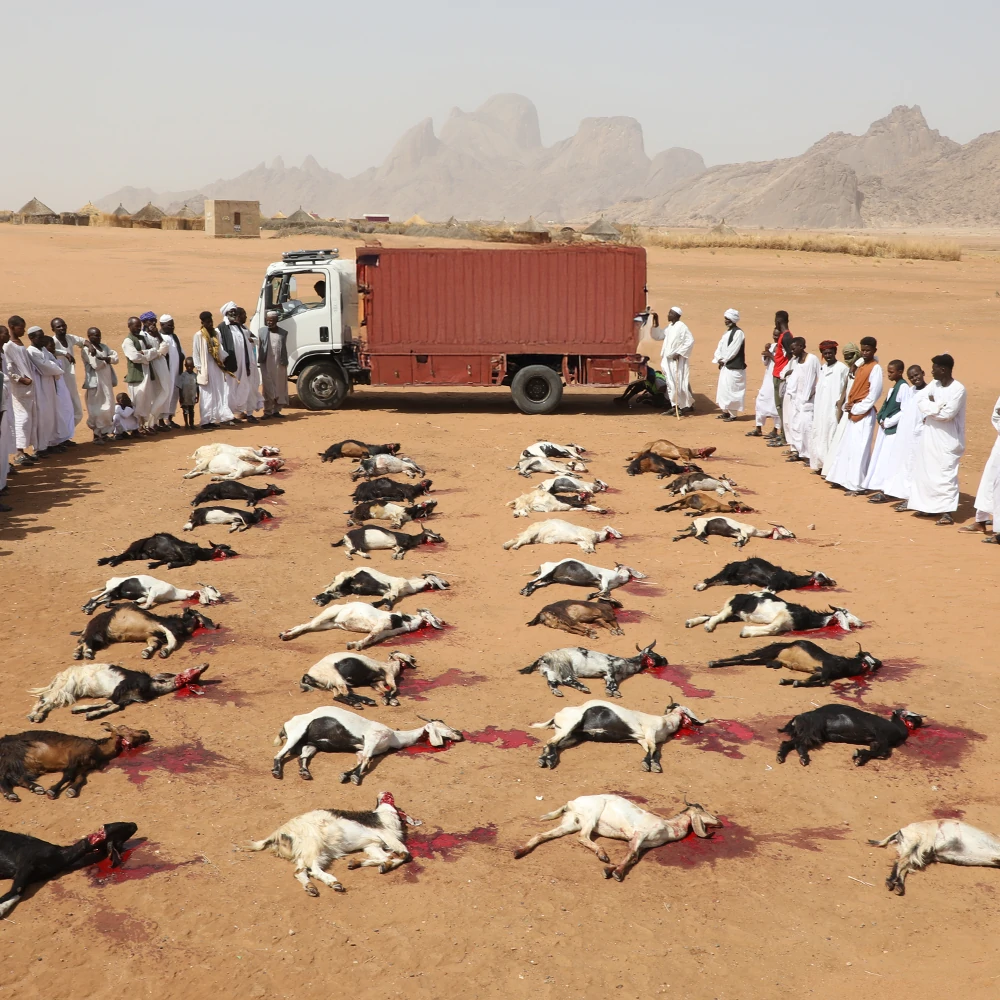 انجازات عيد الاضحى 2025