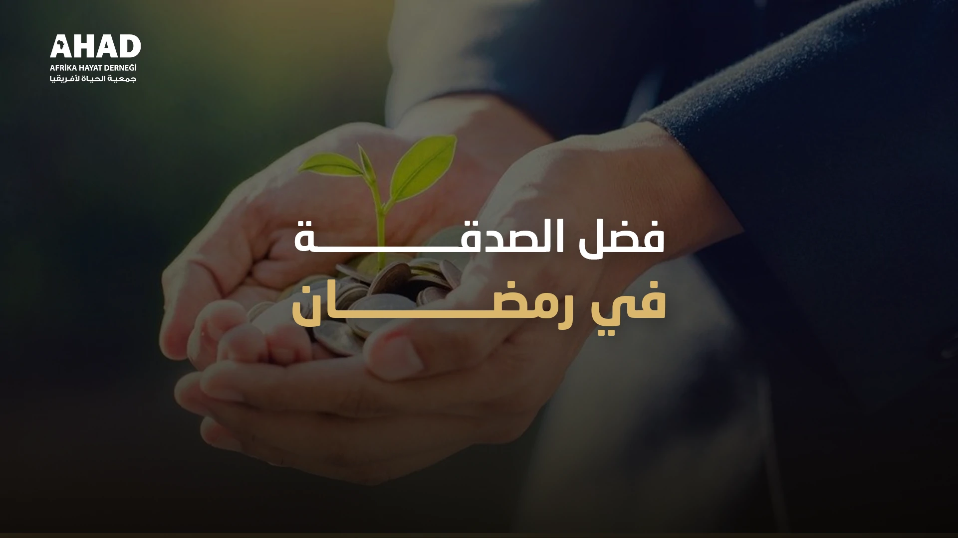 ngo-illustration-Artboard 5 فضل الصدقة في رمضان