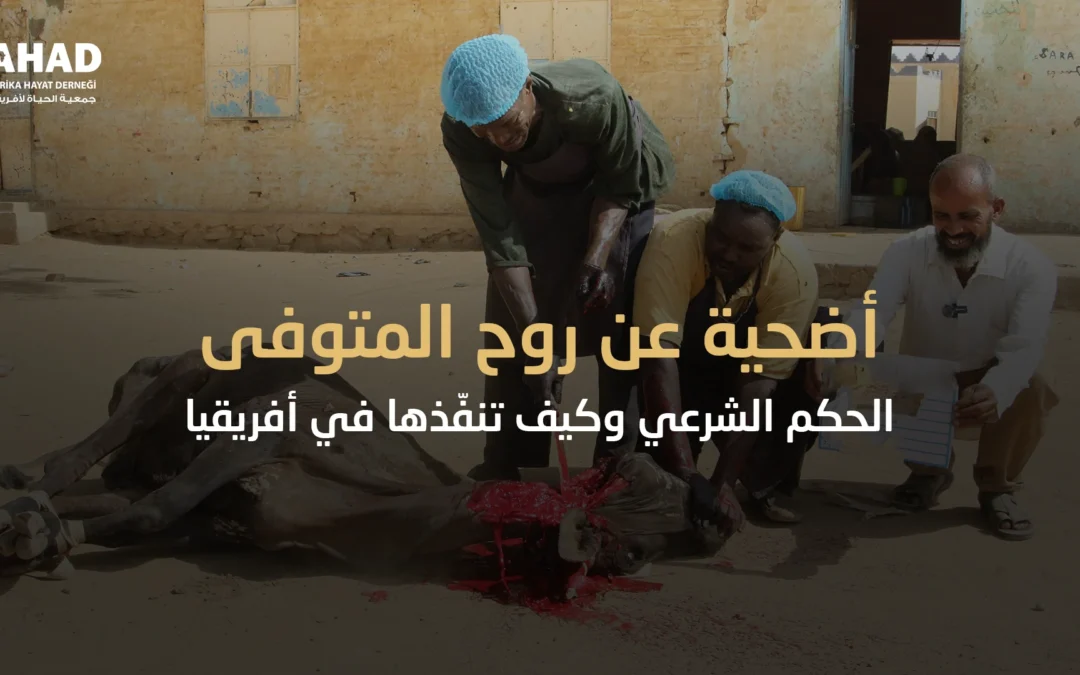 أضحية عن روح المتوفى – الحكم الشرعي وكيف تنفّذها في أفريقيا