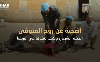 أضحية عن روح المتوفى – الحكم الشرعي وكيف تنفّذها في أفريقيا