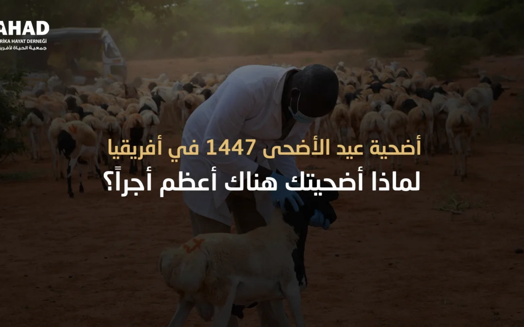 أضحية عيد الأضحى 1447 في أفريقيا لماذا أضحيتك هناك أعظم أجراً؟