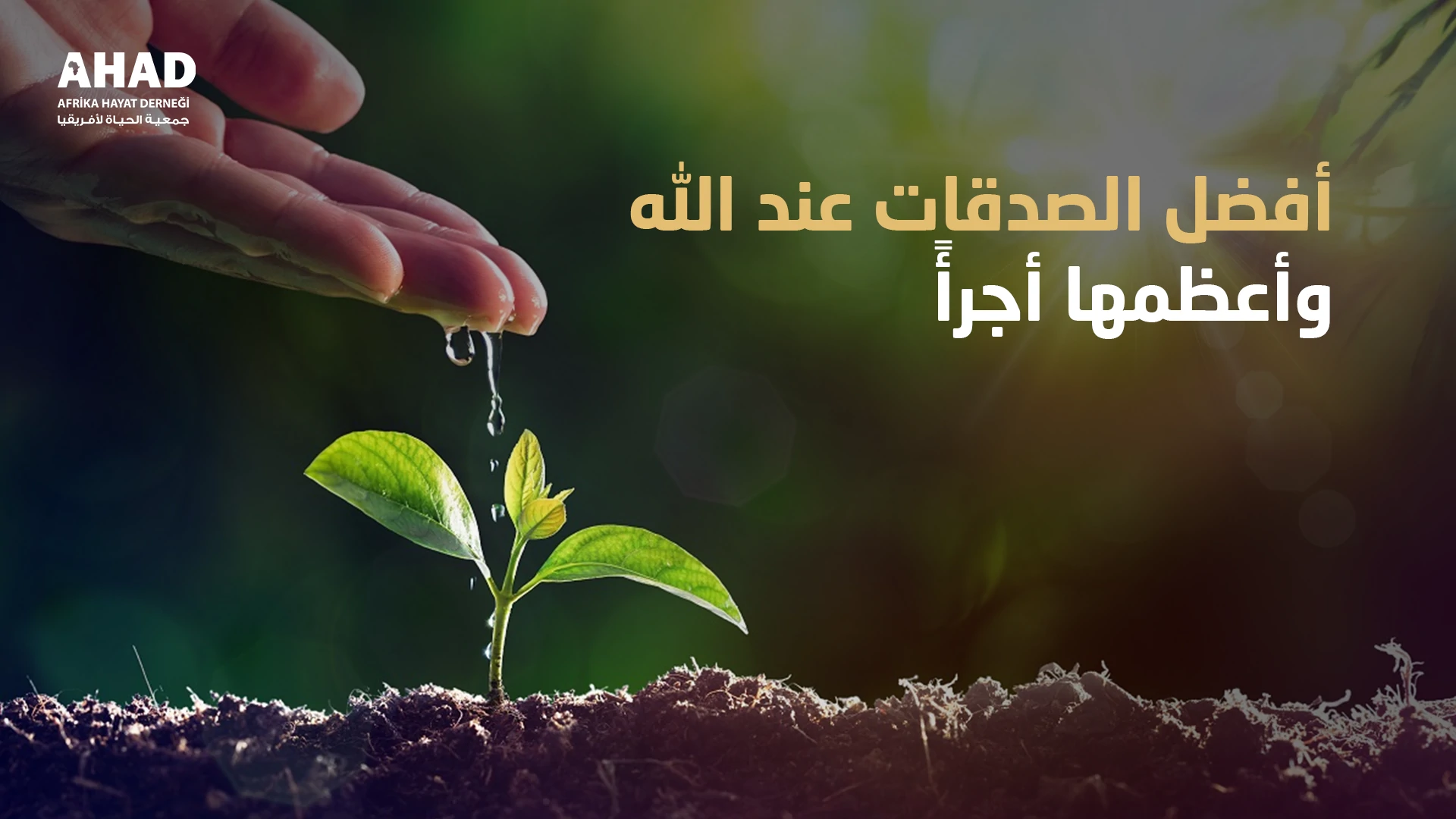 أفضل الصدقات عند الله وأعظمها أجرأً