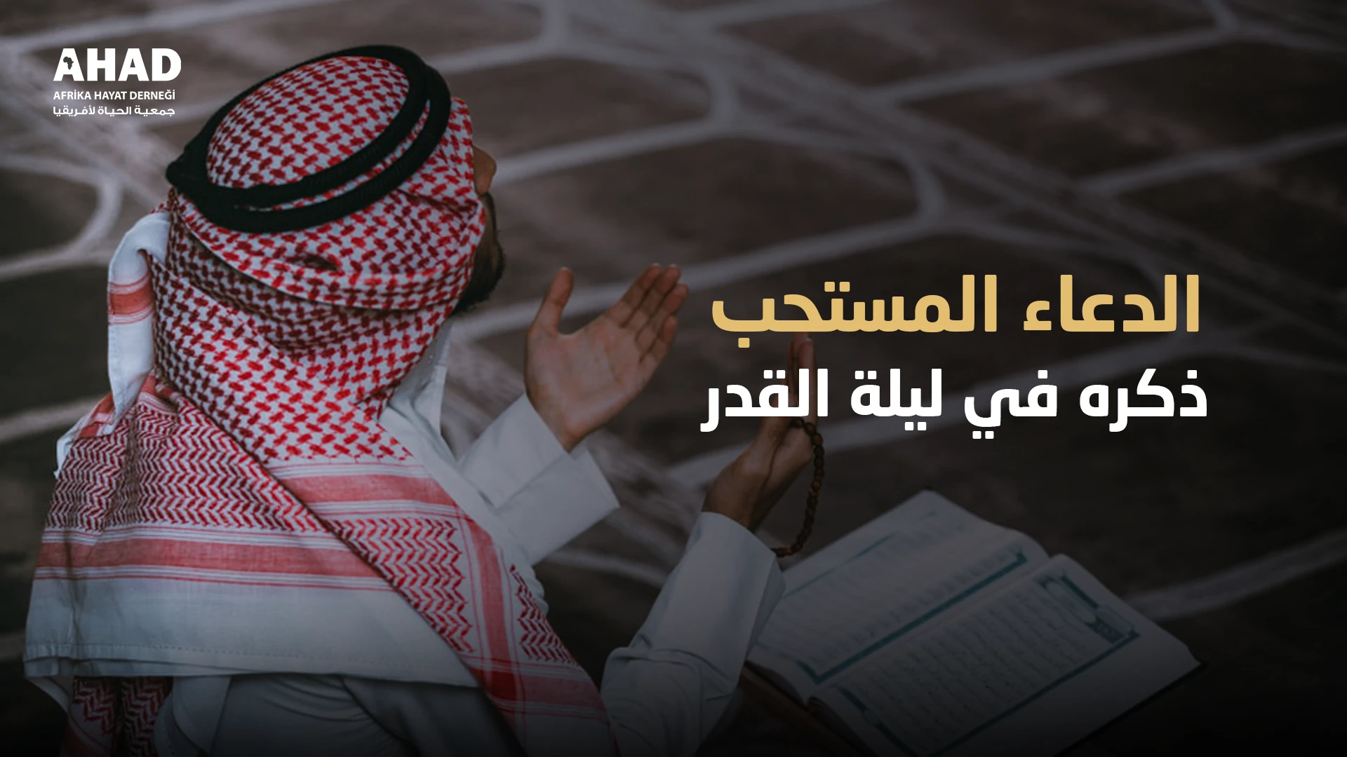 ngo-illustration-Artboard 5 الدعاء المستحب ذكره في ليلة القدر