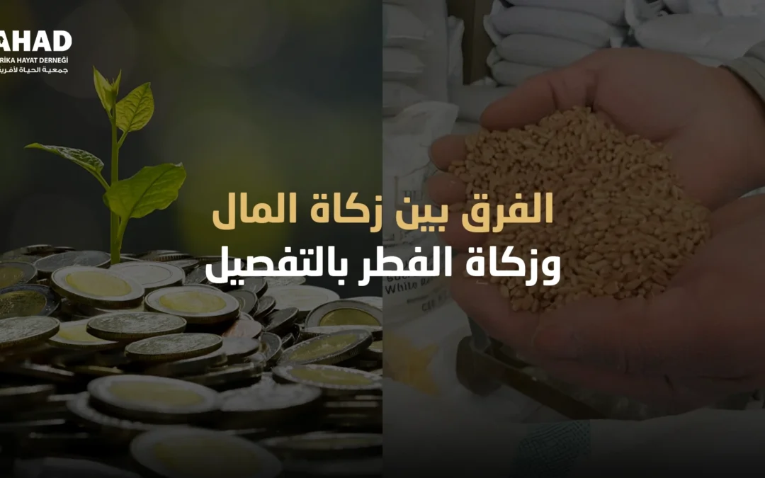 الفرق بين زكاة المال وزكاة الفطر بالتفصيل