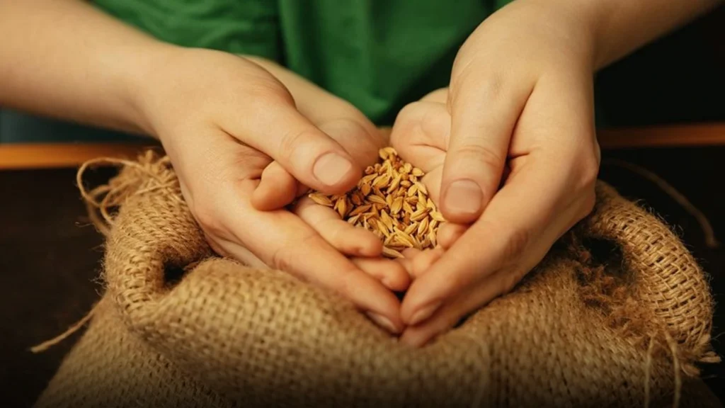 الفرق بين زكاة المال وزكاة الفطر بالتفصيل