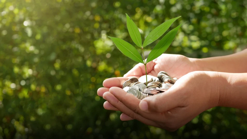 الفرق بين زكاة المال وزكاة الفطر بالتفصيل