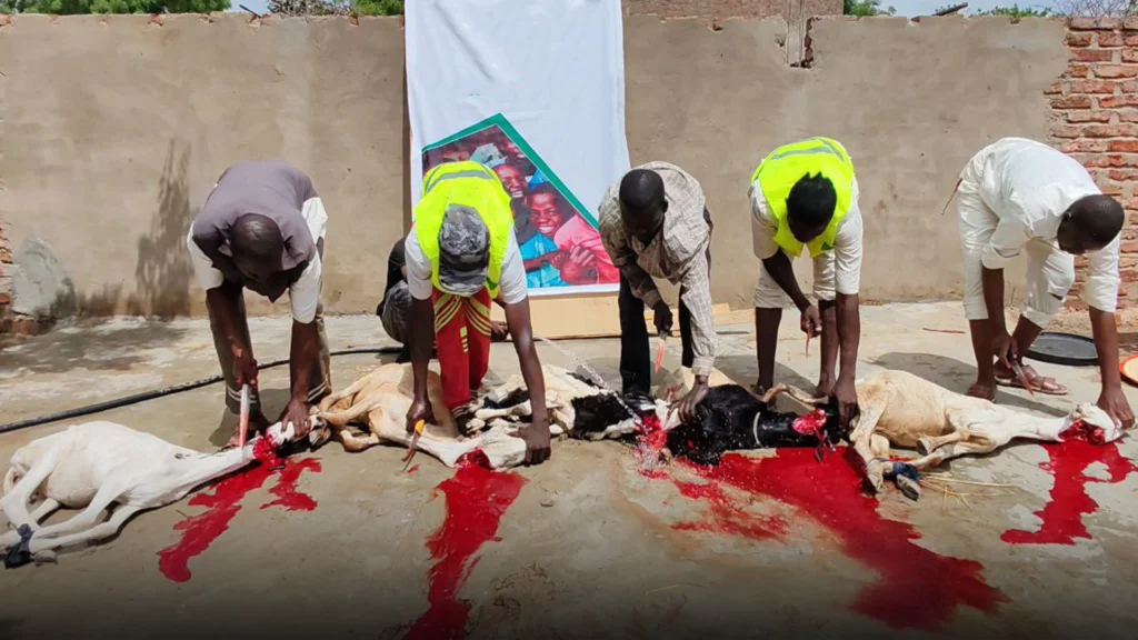 توكيل جمعية خيرية أضحية