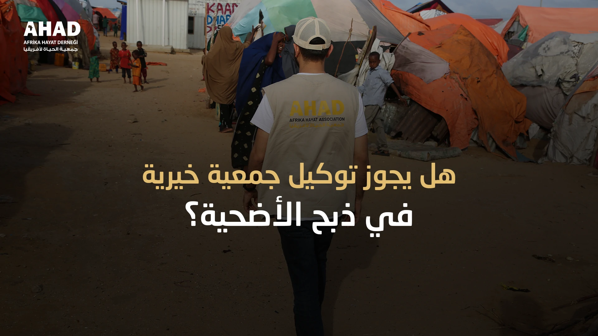 ngo-illustration-Artboard 5 توكيل جمعية خيرية أضحية