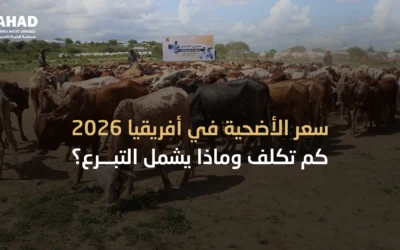 سعر الأضحية 2026 – كم تكلف الأضحية في أفريقيا ولماذا هي الأكثر أثرًا؟