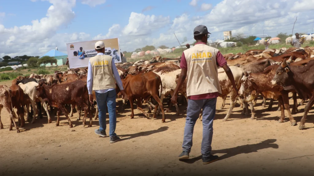 موعد عيد الأضحى 2026