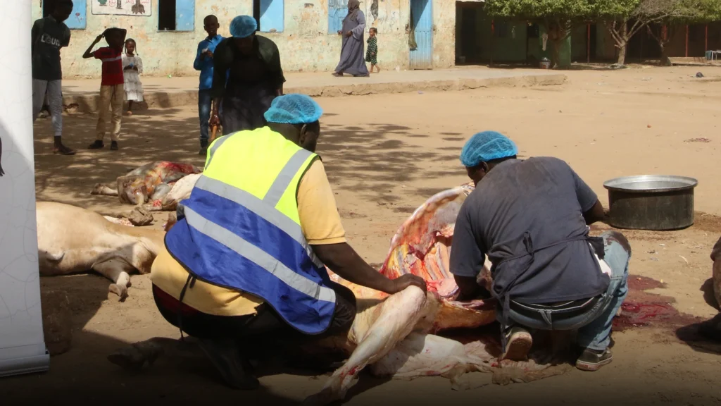 تكلفة الأضحية في أفريقيا 2026